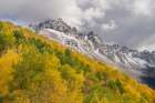 USA-Colorado-Uncompahgre National Forest San Juan Mountains and aspen forest in autumn Art Print